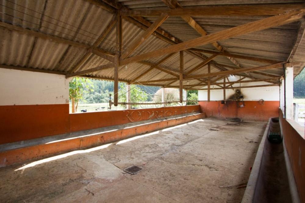 Fazenda com 4 dormitórios à venda, 968.000 m² - Lagoinha/SP