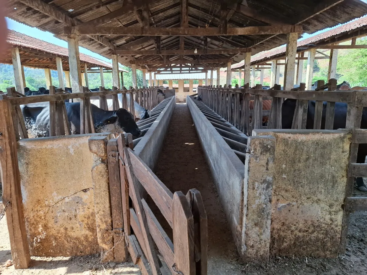 Fazenda à venda com 60 alqueires em Lorena/SP. 