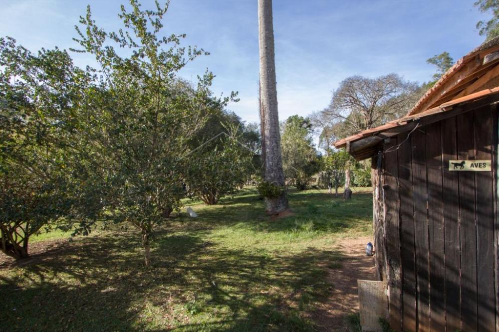 Rural misto à venda por R$ 4.500.000,00 - Lagoinha/SP