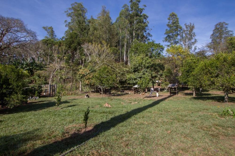Rural misto à venda por R$ 4.500.000,00 - Lagoinha/SP