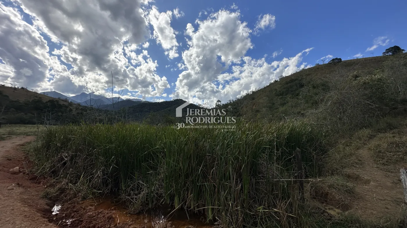 Fazenda para criação de gado de corte e plantação de milho, com mais de 612 hectares, em Cruzeiro-SP.