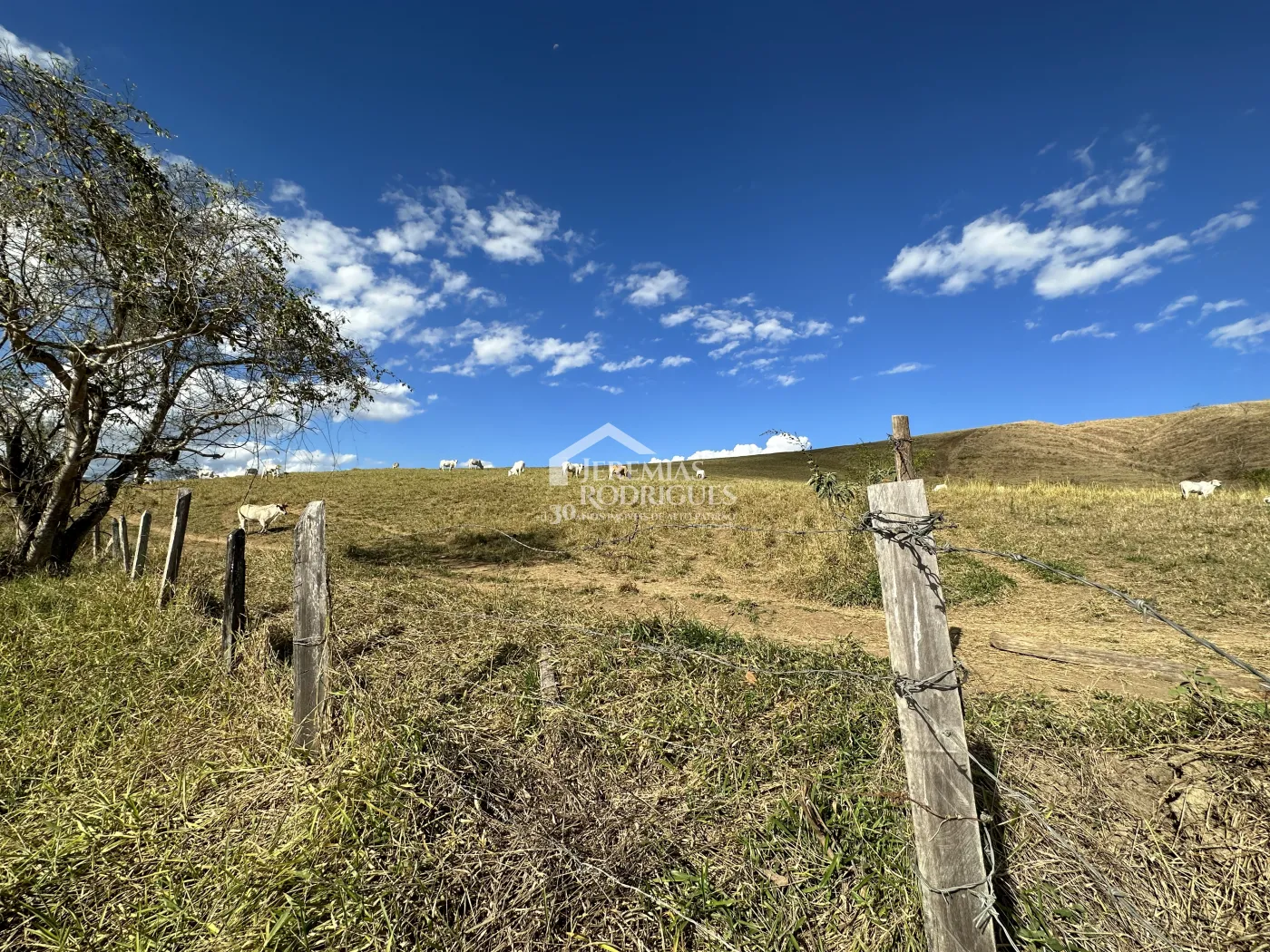 Fazenda para criação de gado de corte e plantação de milho, com mais de 612 hectares, em Cruzeiro-SP.