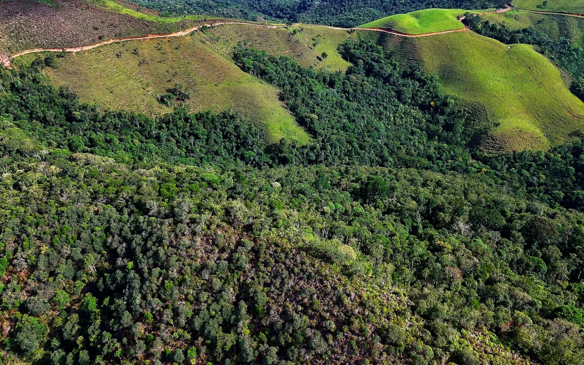 Fazenda à venda com 78 hectares em São José do Barreiro/SP. 