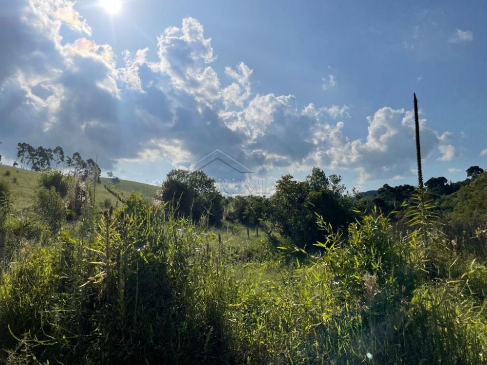 Fazenda à venda em Cunha/SP