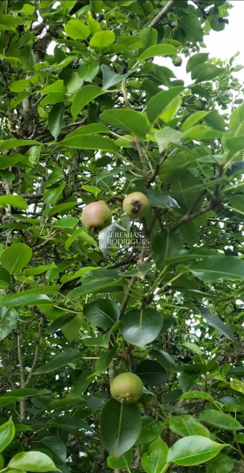 Sobrado em Condomínio com 4 dormitórios - Condomínio Colinas do Sol - Campos do Jordão/SP