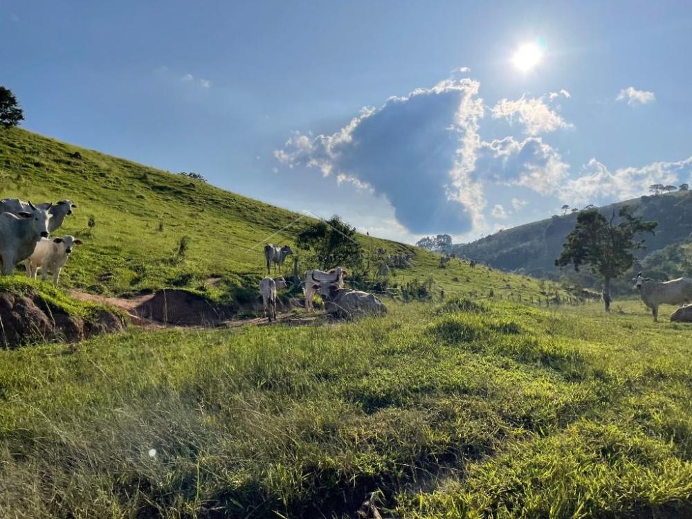 Fazenda à venda em Cunha/SP