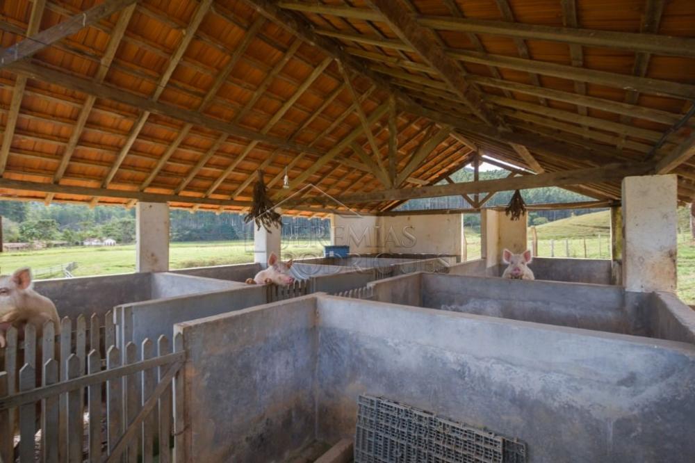 Fazenda com 4 dormitórios à venda, 968.000 m² - Lagoinha/SP