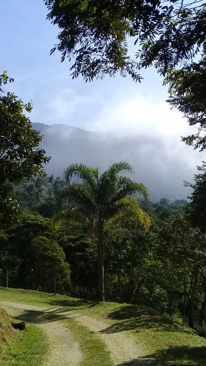 Fazenda á venda na Serra da Mantiqueira em Santo Antônio do Pinhal/SP.
