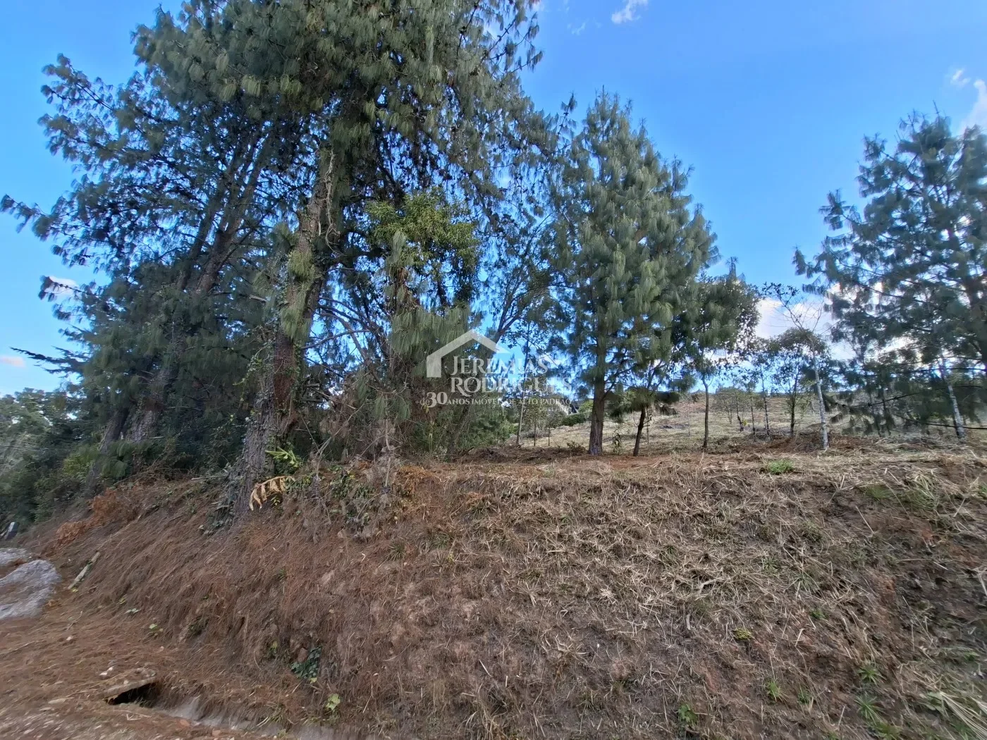 Terreno à venda no Condomínio Pedra do Fogo em Campos do Jordão/SP.