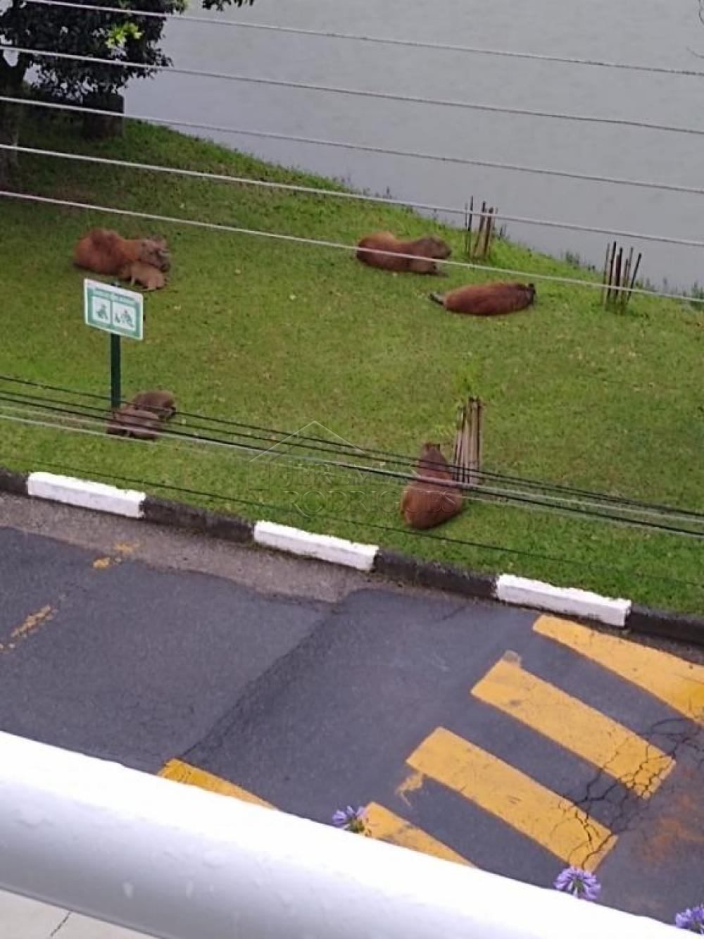 Casa à venda por R$ 2.900.000,00 - Arujá/SP