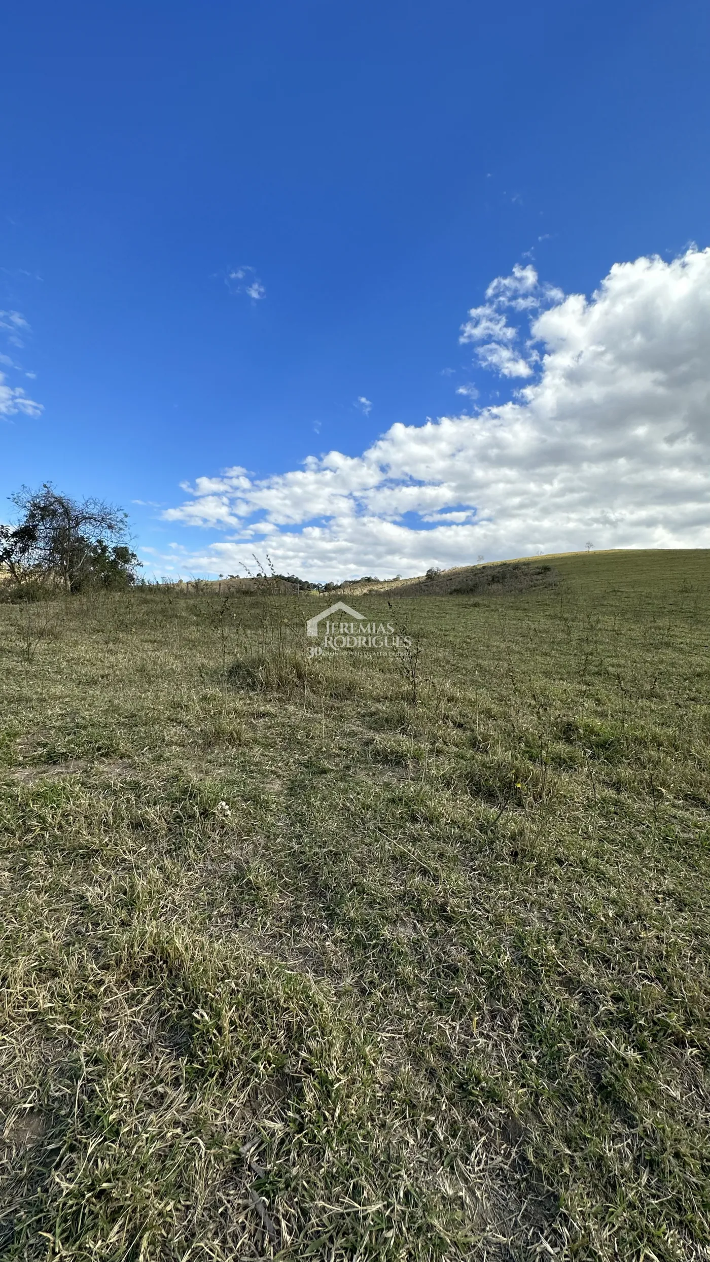 Fazenda para criação de gado de corte e plantação de milho, com mais de 612 hectares, em Cruzeiro-SP.