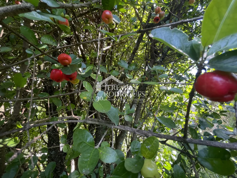 Chácara com 3 quartos, 3.901 m² - Sapé I - Caçapava/SP