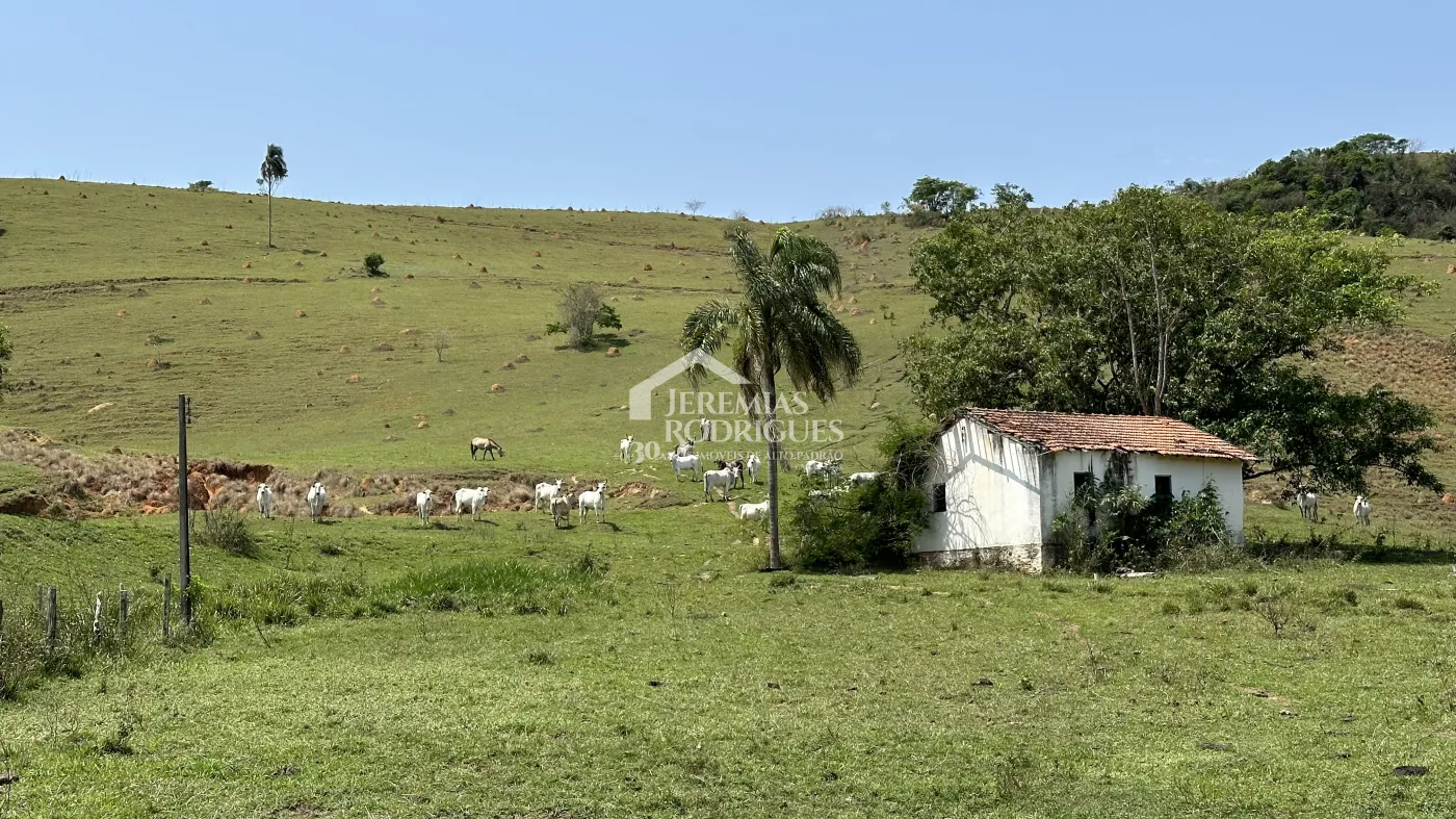 Fazenda à venda em Lorena/SP