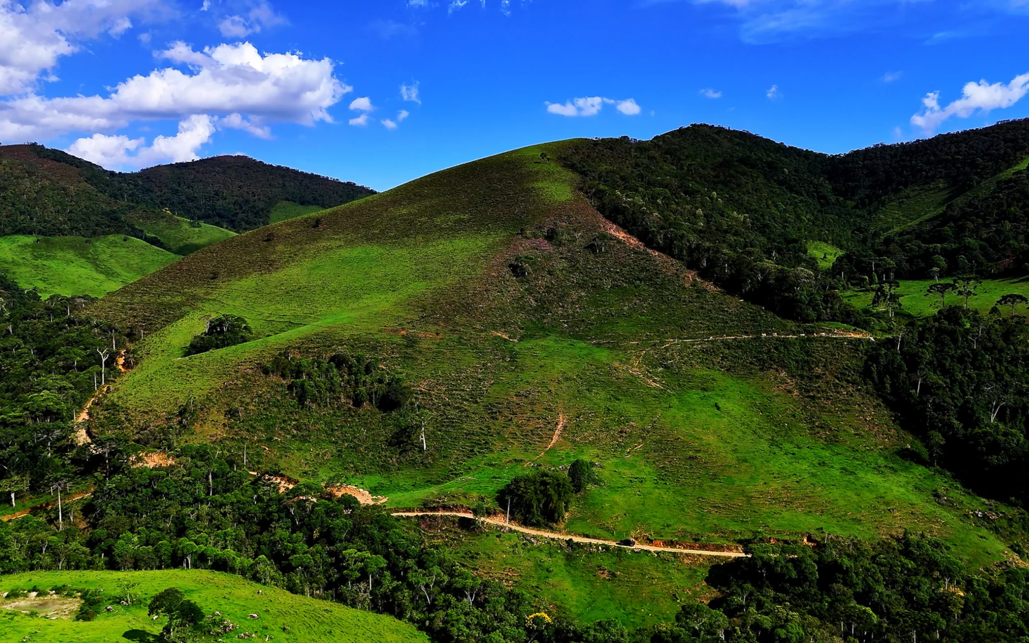 Fazenda à venda com 78 hectares em São José do Barreiro/SP. 