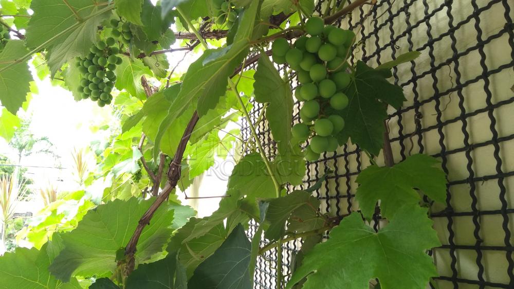 Casa à venda com 4 dormitórios no Condomínio Taubaté Village em Taubaté/SP. 