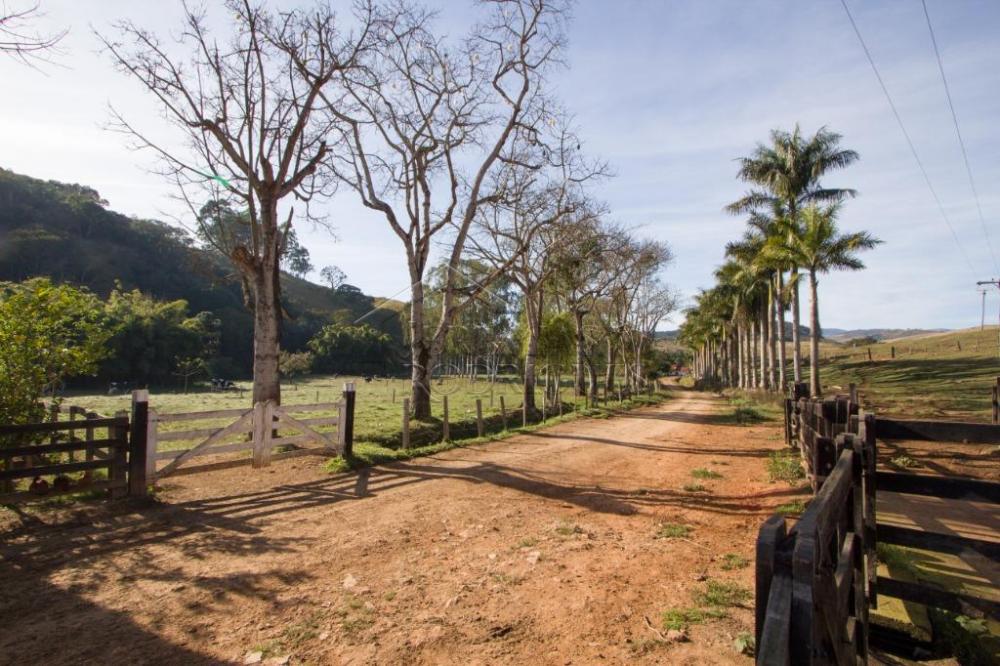 Rural misto à venda por R$ 4.500.000,00 - Lagoinha/SP