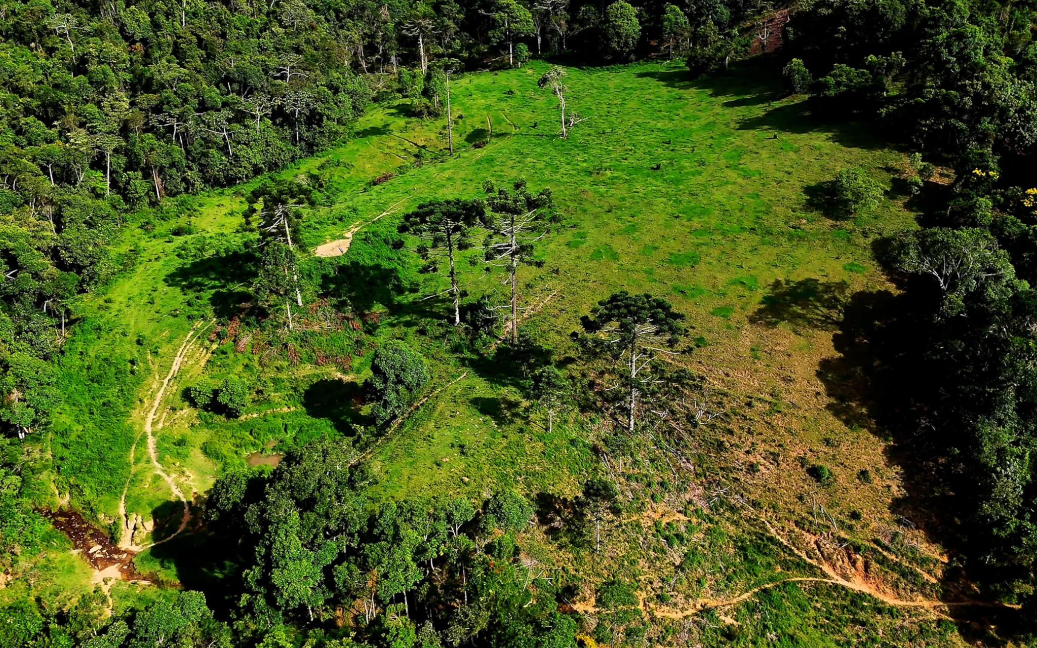Fazenda à venda com 78 hectares em São José do Barreiro/SP. 