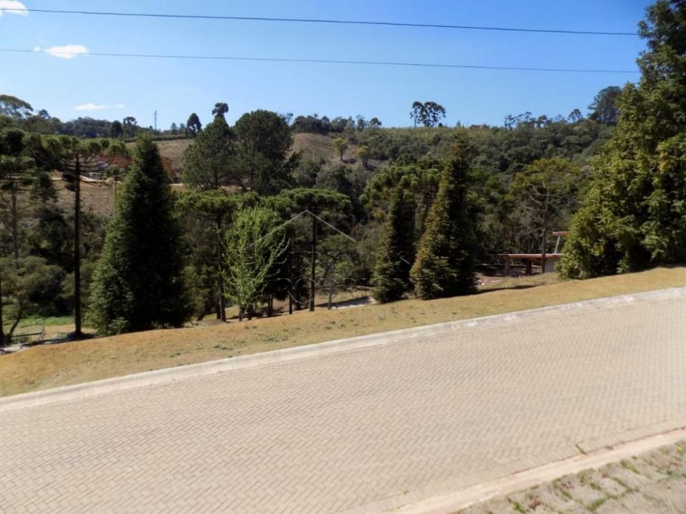 Terreno residencial à venda por R$ 1.150.000,00 - Campos do Jordão/SP