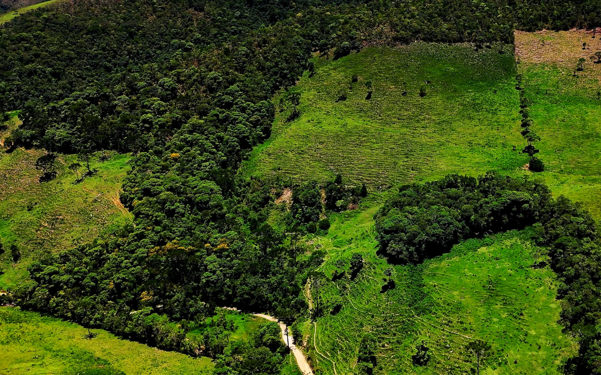Fazenda à venda com 78 hectares em São José do Barreiro/SP. 