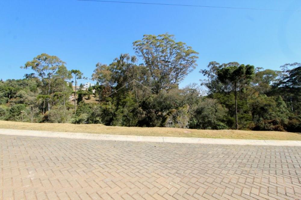Terreno residencial à venda por R$ 1.000.000,00 - Campos do Jordão/SP