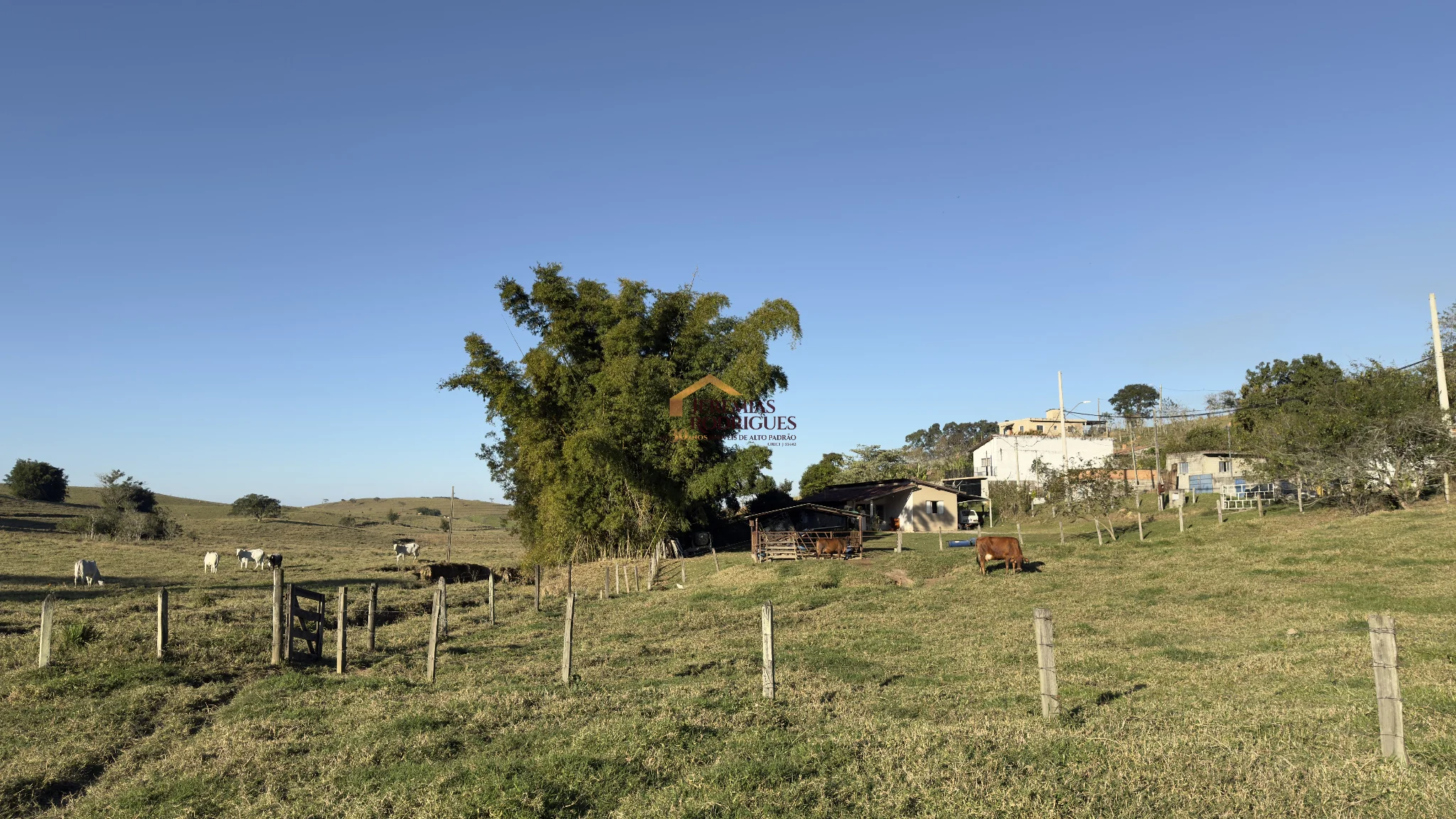 Fazenda à venda em Tremembé/SP. — foto 20