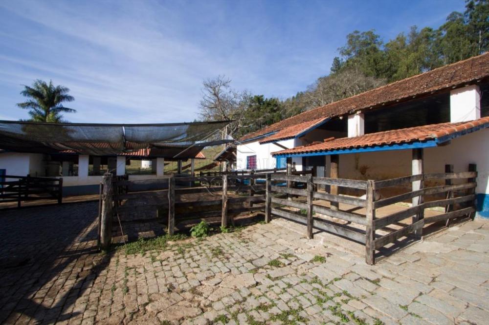 Rural misto à venda por R$ 4.500.000,00 - Lagoinha/SP