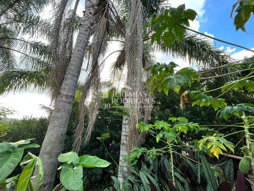 Casa com 4 dormitórios, 360 m² - Condomínio Chácaras Cataguá- Taubaté/SP