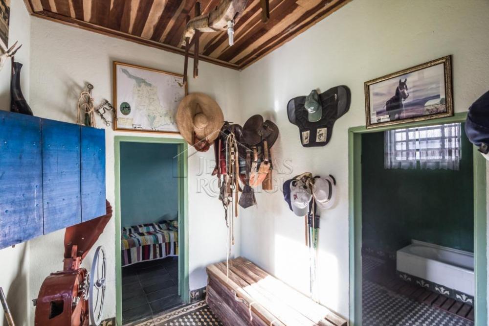 Rural misto à venda por R$ 4.500.000,00 - Lagoinha/SP