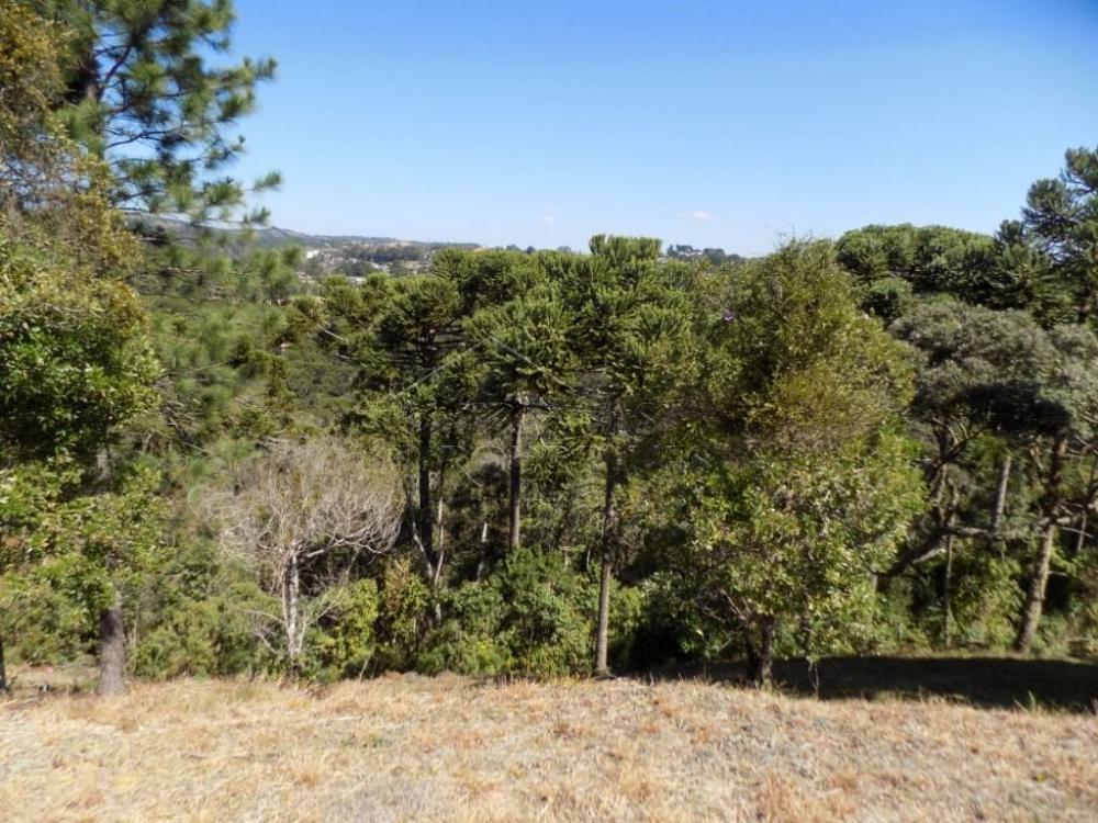 Terreno residencial à venda por R$ 1.150.000,00 - Campos do Jordão/SP