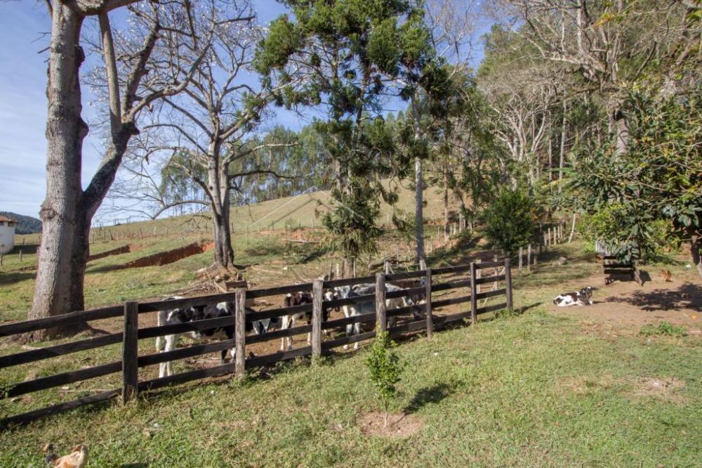 Rural misto à venda por R$ 4.500.000,00 - Lagoinha/SP