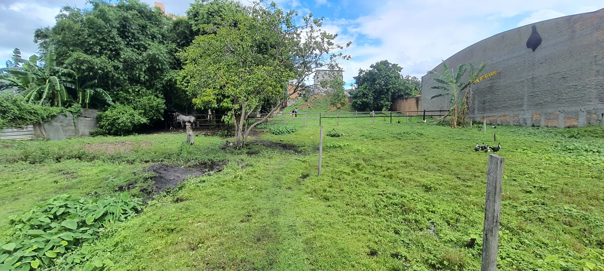 Área à venda com 7.620 m² no bairro Areão em Taubaté/SP. 