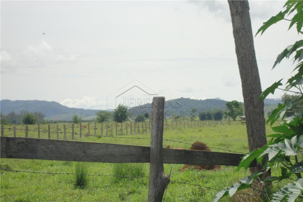 Área rural à venda com 123.247 m² no bairro Jardim Regina em Pindamonhangaba/SP.