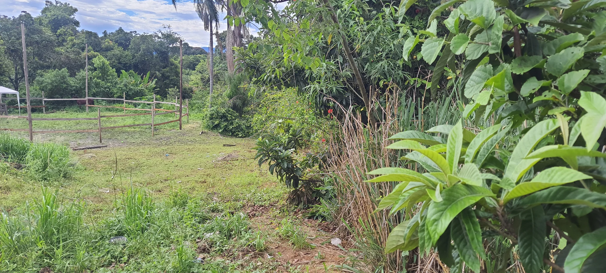 Área à venda com 10.969 m² no bairro Areão em Taubaté/SP.