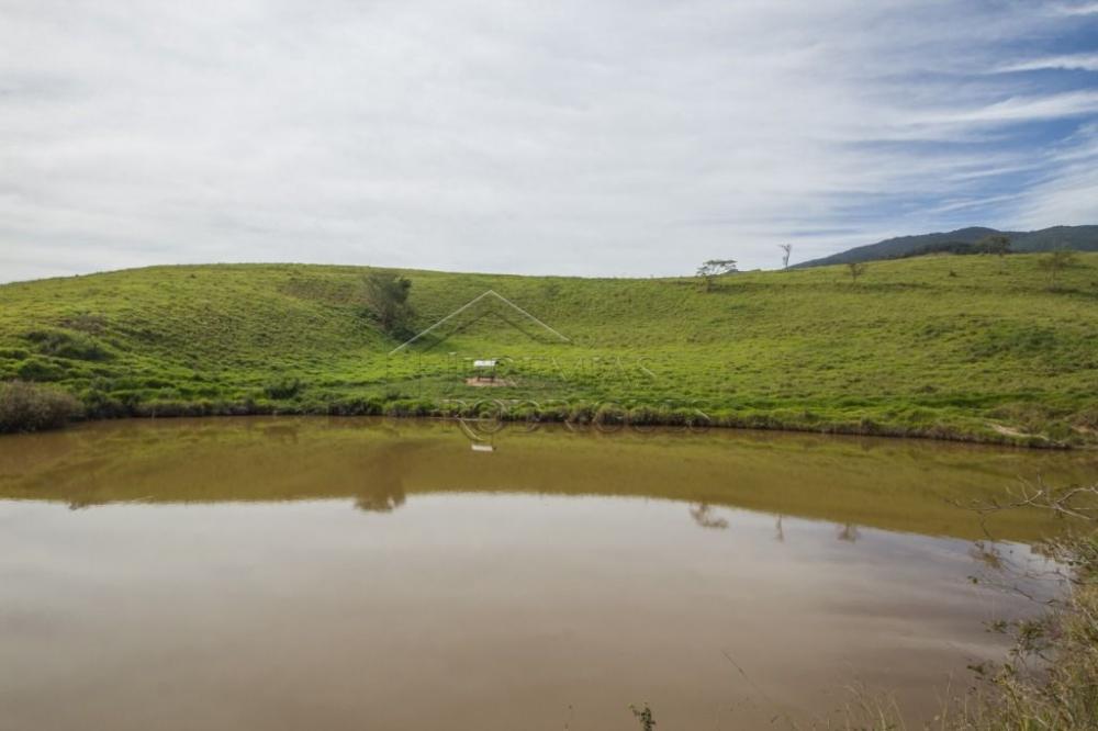 Rural misto à venda por R$ 20.000.000,00 - Roseira/SP