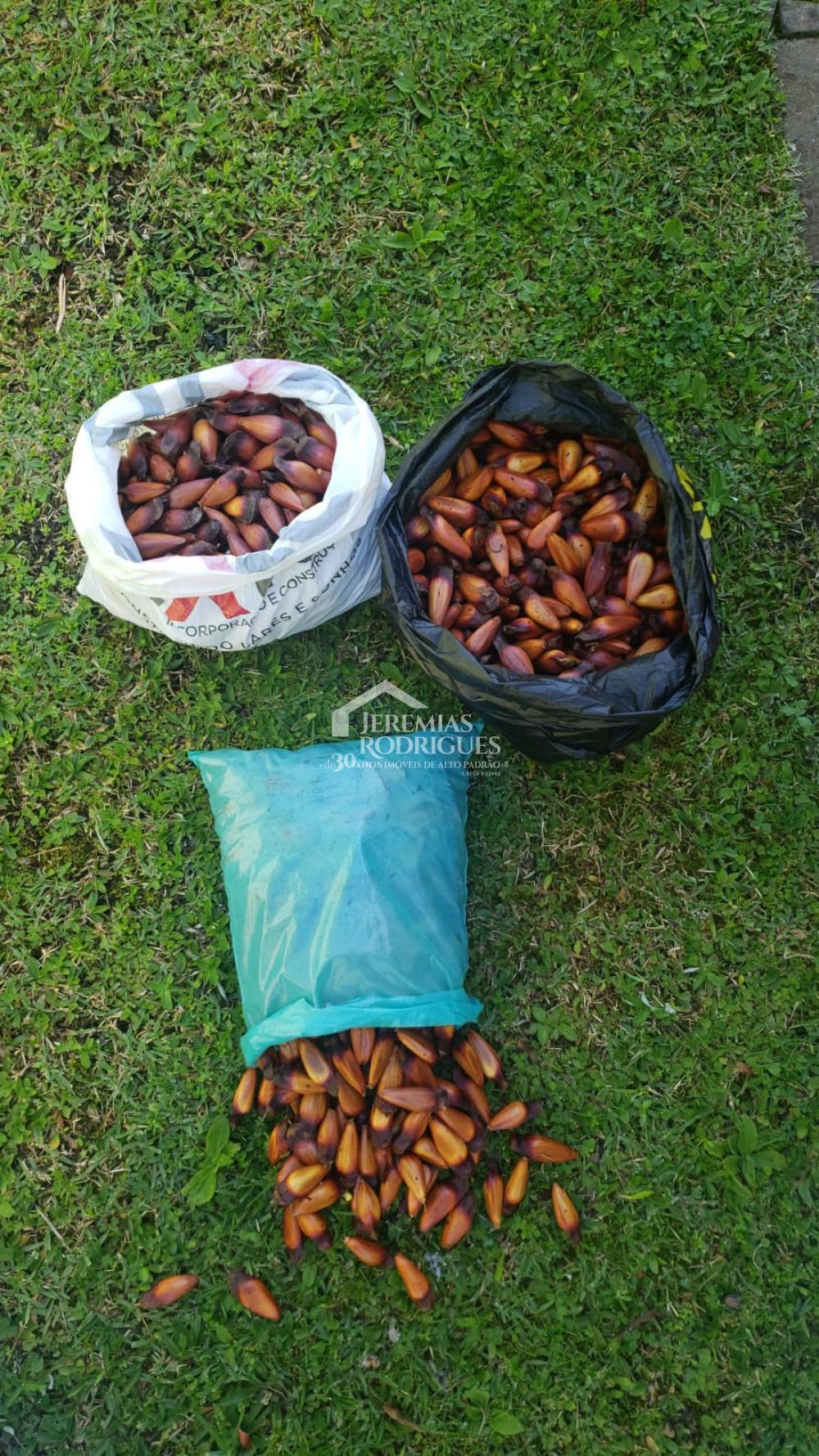 Sobrado em Condomínio com 4 dormitórios - Condomínio Colinas do Sol - Campos do Jordão/SP