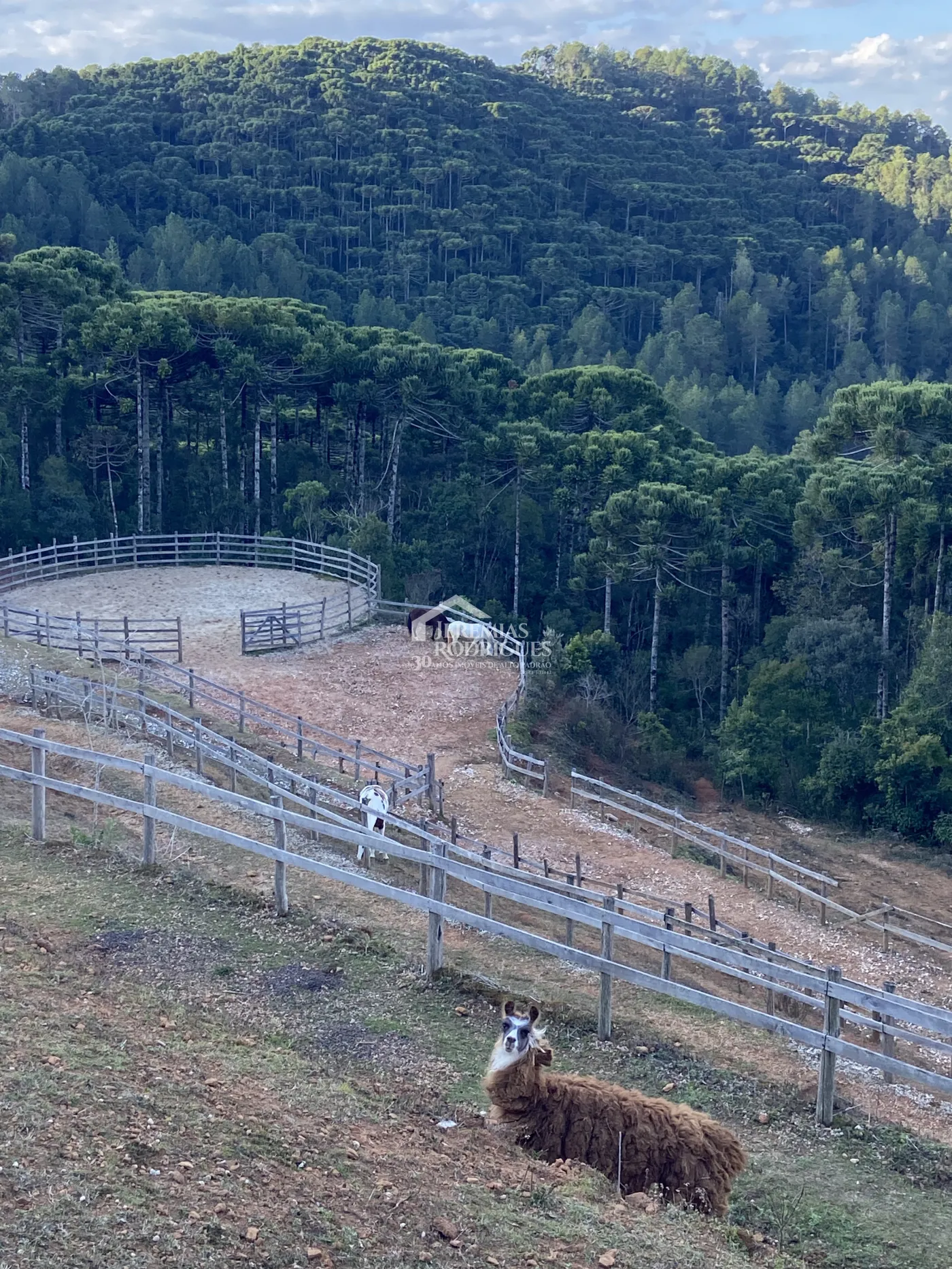 Fazenda à venda com 5,2 hectares em São Bento do Sapucaí/SP