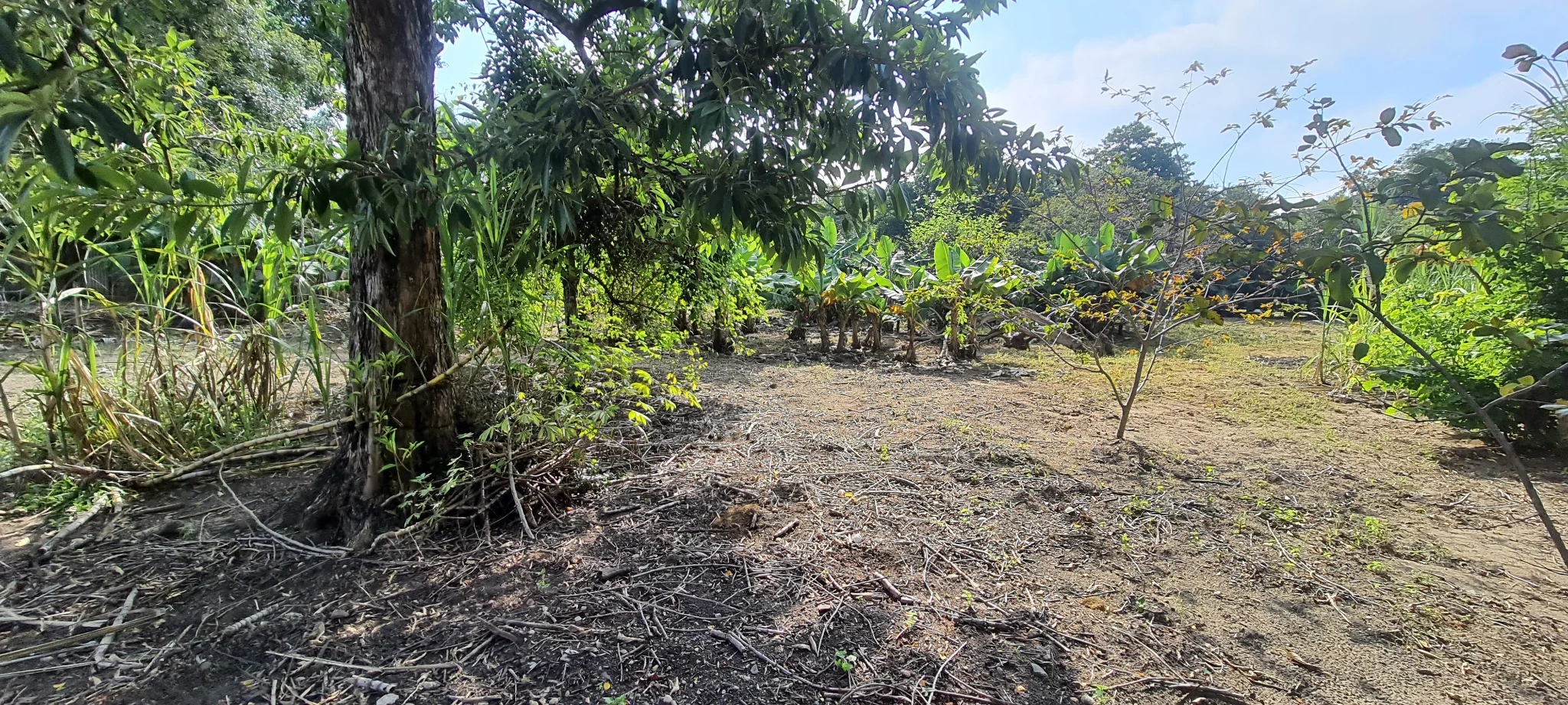 Área à venda no bairro Vila São Geraldo em Taubaté/SP