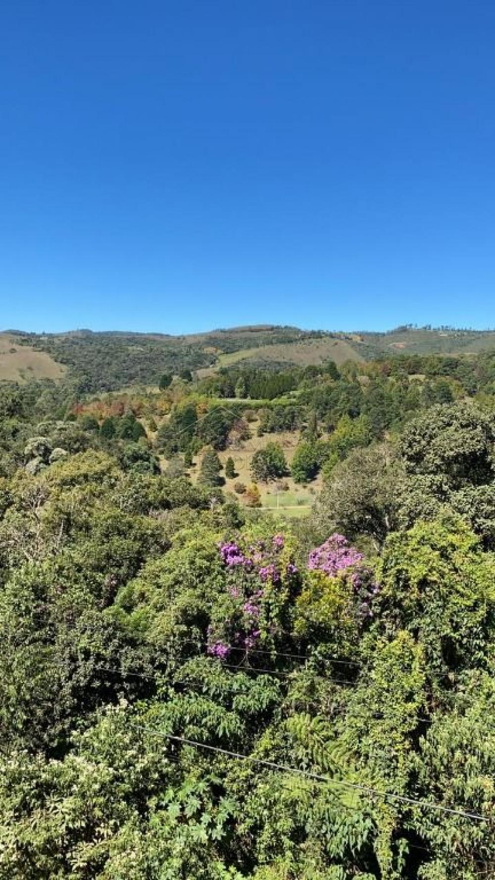 Casa à venda por R$ 6.800.000,00 - Campos do Jordão/SP