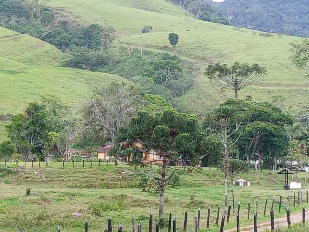 Fazenda à venda em Pindamonhangaba/SP