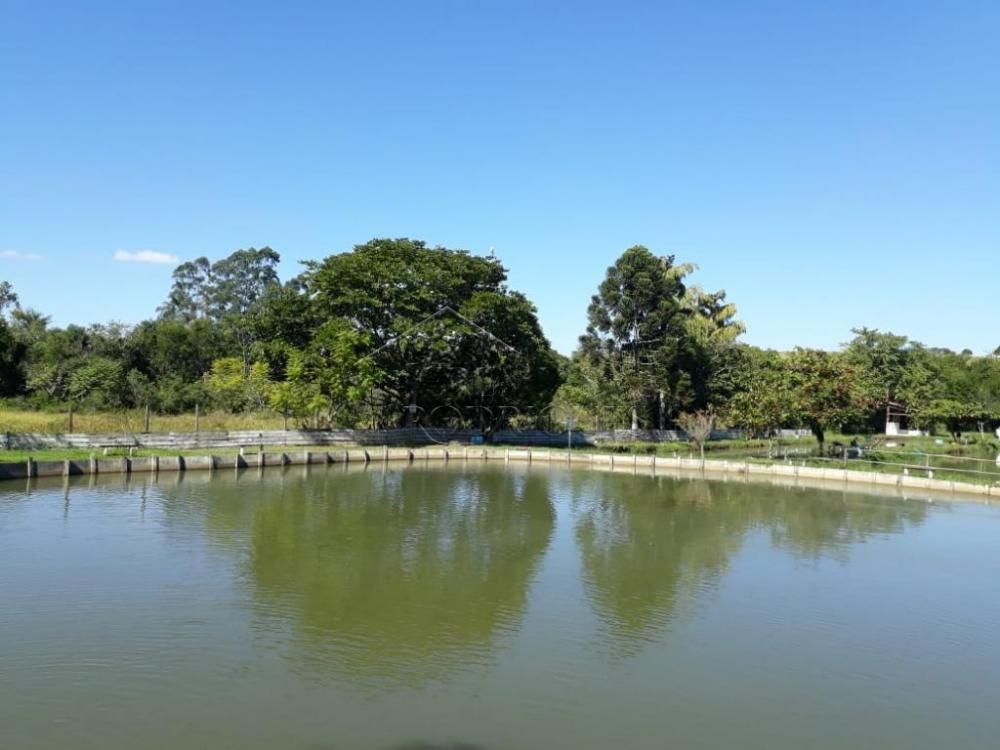 Rural misto à venda por R$ 1.500.000,00 - Pindamonhangaba/SP