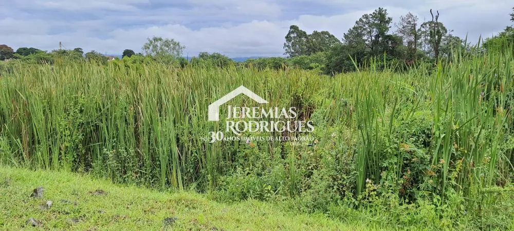 Terreno misto de 24627 m² à venda por R$ 5.390.000,00 - Taubaté/SP