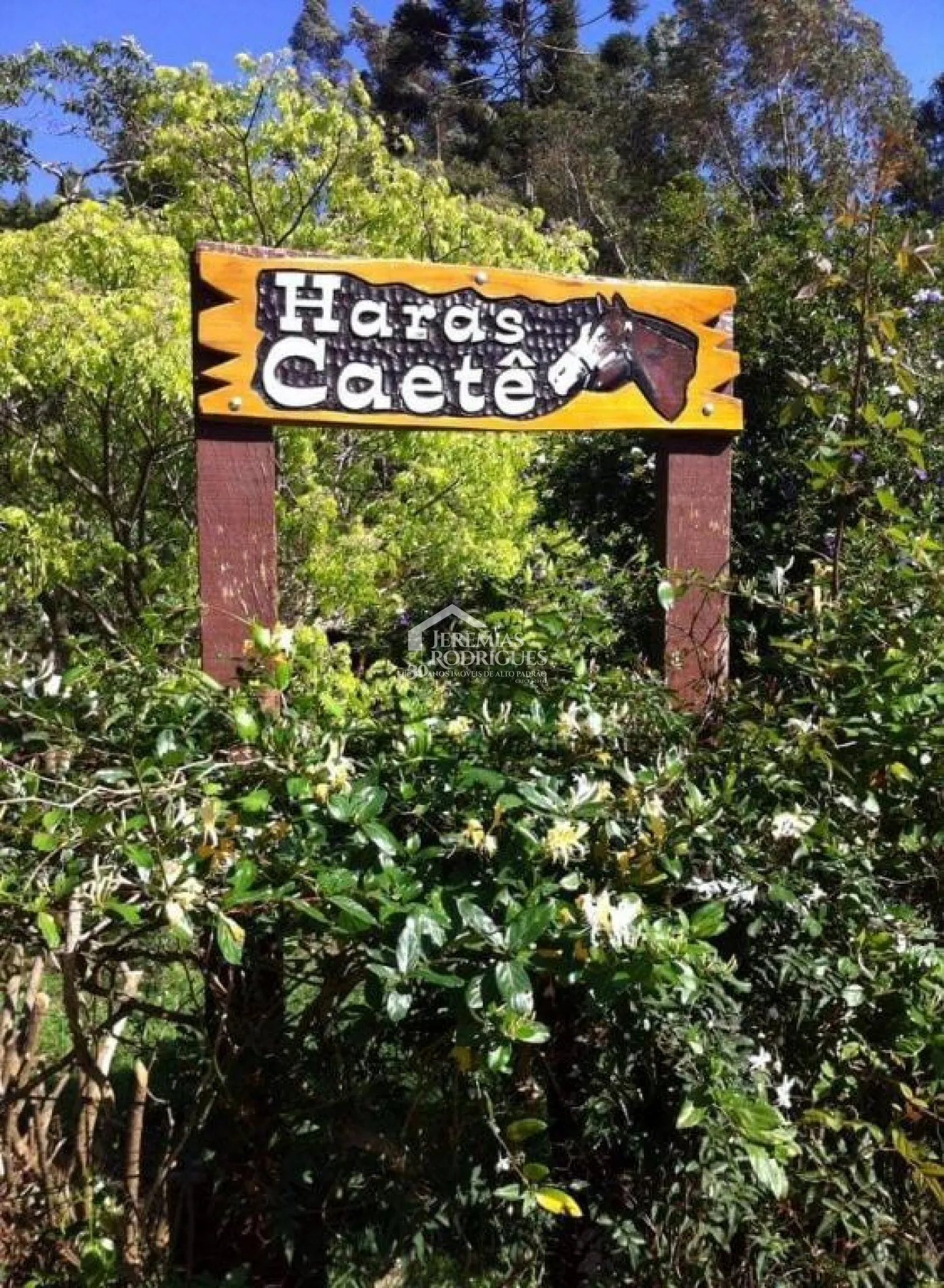 Haras com 86,4 hectares - Sapucaí-Mirim/MG