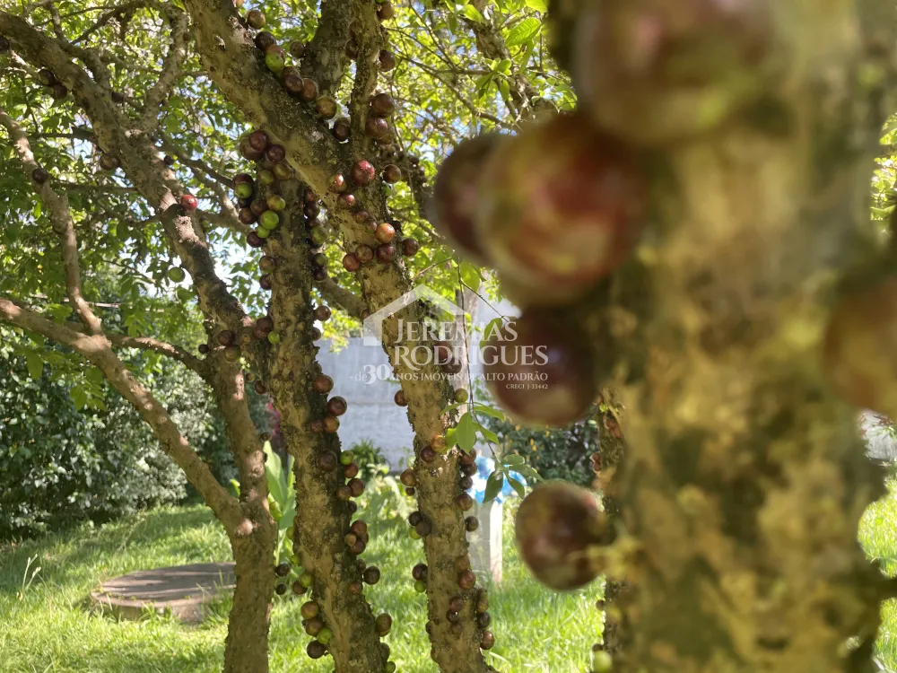 Chácara com 3 quartos, 3.901 m² - Sapé I - Caçapava/SP