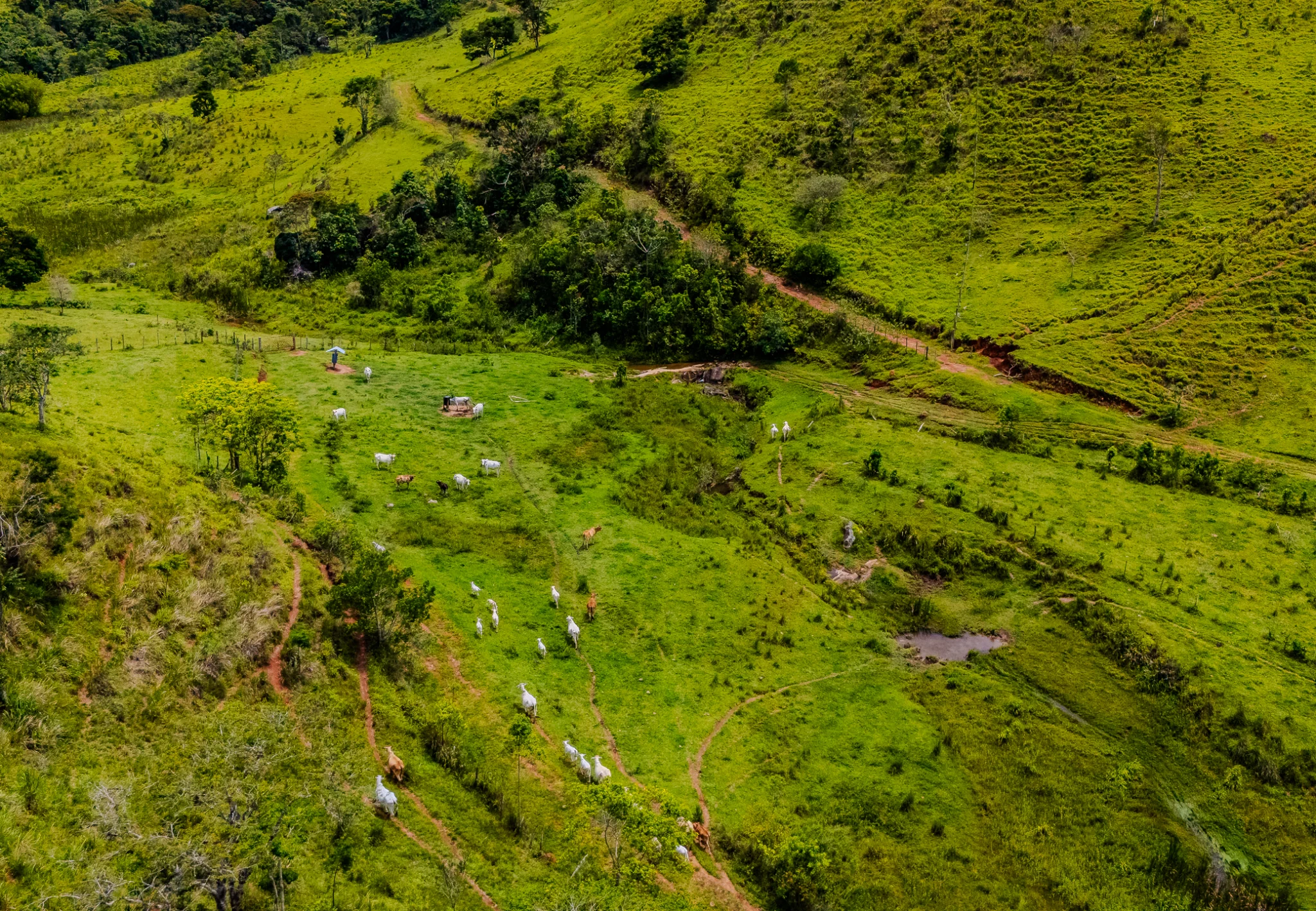 Fazenda à venda com 80 Alqueires em Redenção da Serra/SP. 