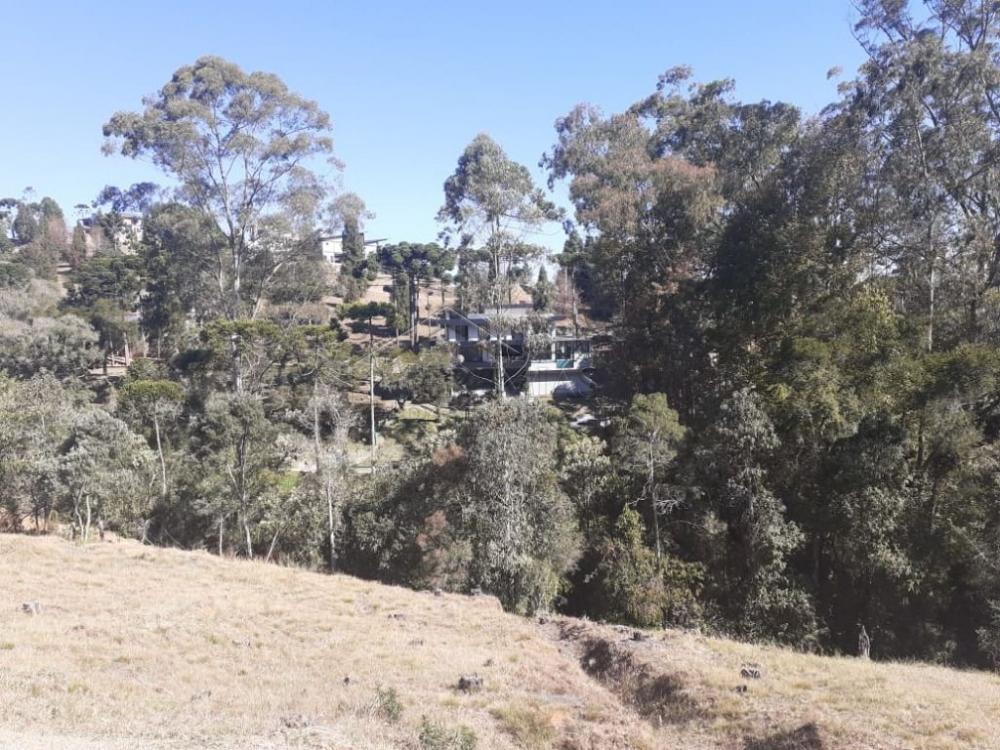 Terreno residencial à venda por R$ 1.000.000,00 - Campos do Jordão/SP
