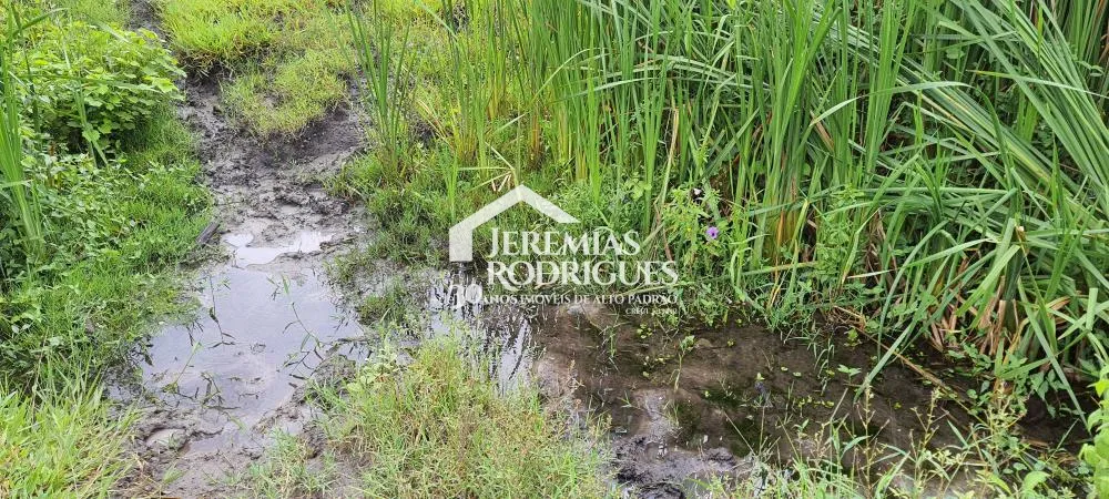 Terreno misto de 24627 m² à venda por R$ 5.390.000,00 - Taubaté/SP