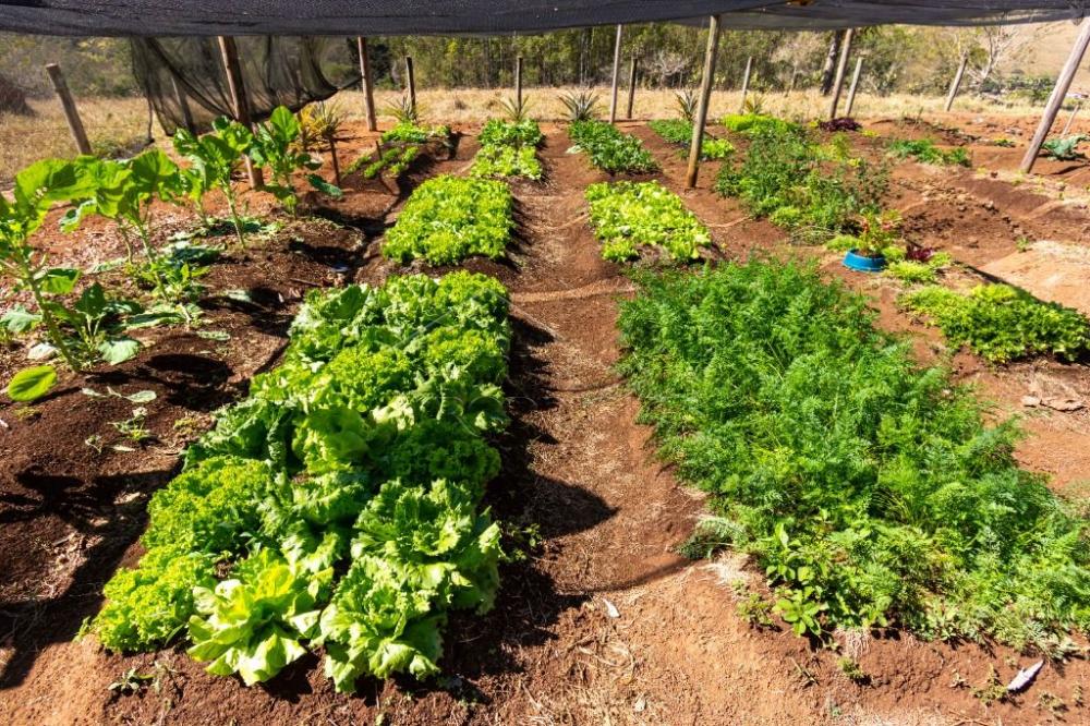 Sítio com 7 quartos, 38 hectares - Cachoeira Grande - Lagoinha/SP