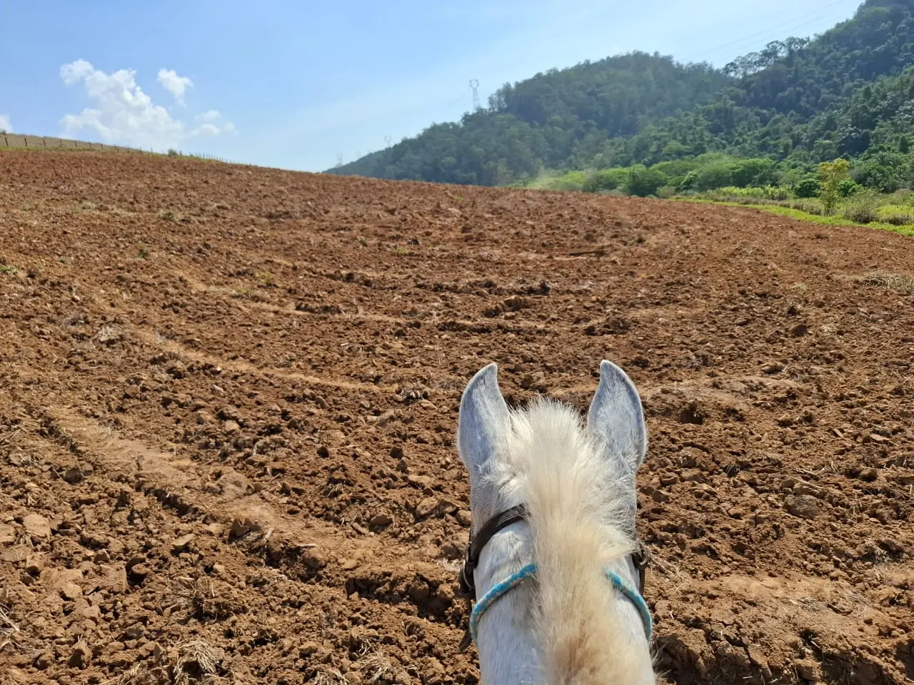 Fazenda à venda com 60 alqueires em Lorena/SP. 