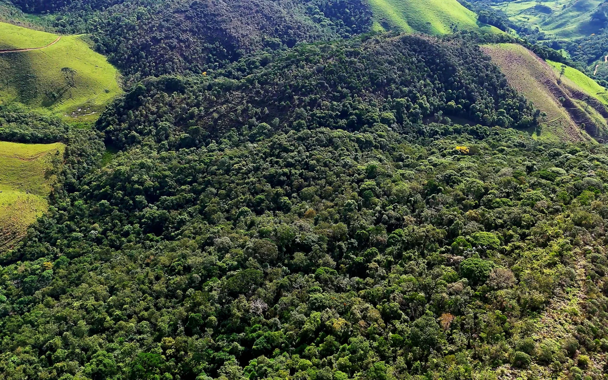 Fazenda à venda com 78 hectares em São José do Barreiro/SP. 