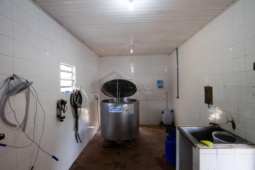 Fazenda com 4 dormitórios à venda, 968.000 m² - Lagoinha/SP